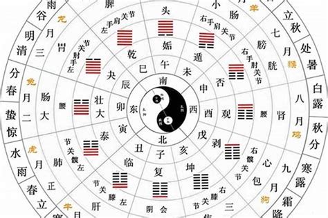 十二地支陰陽|陰陽、五行與天干、地支 (作者：李文傳 老師 / 逢甲大學經濟學。